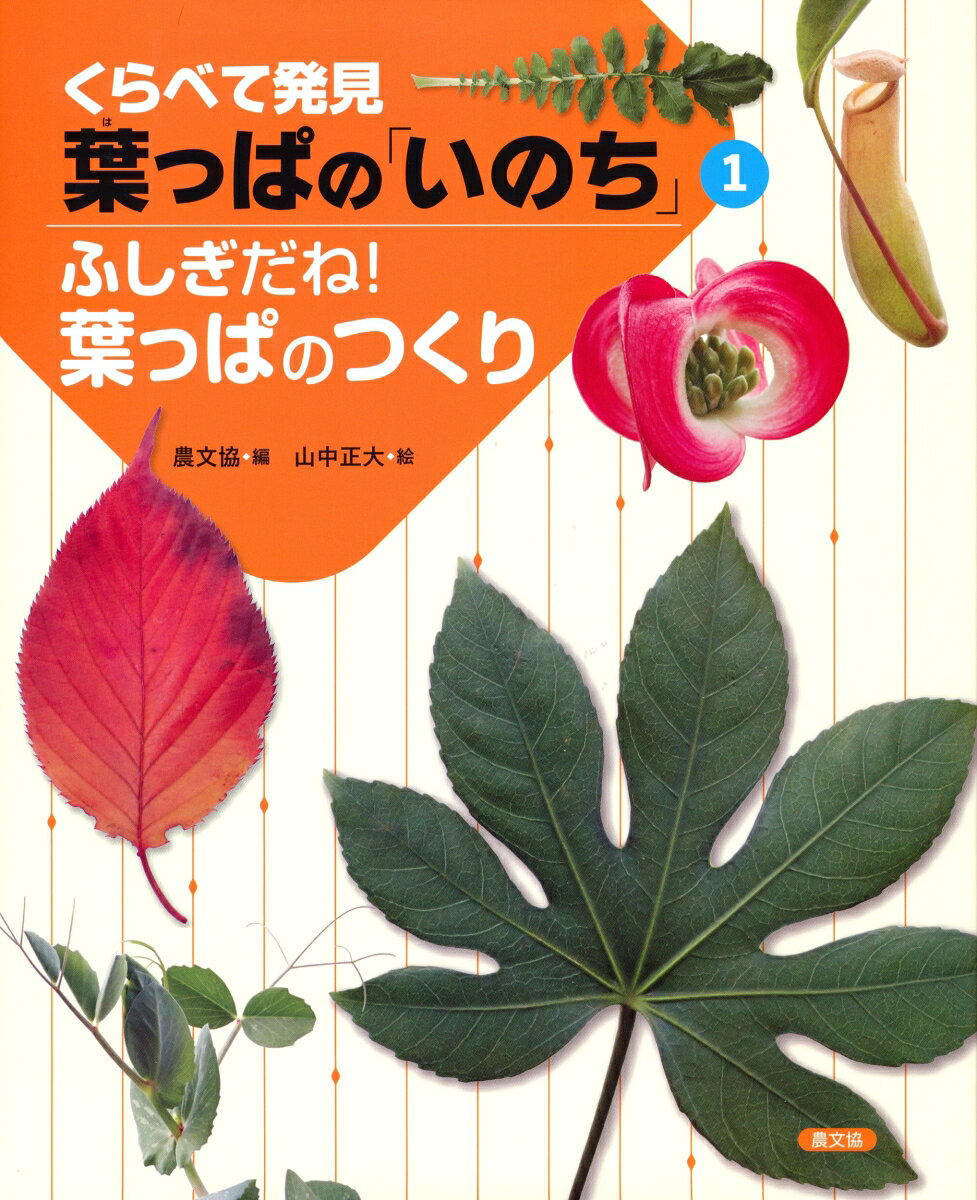 葉にもタマゴ形やハート形、鳥の足みたいな葉、巻きひげに変身した葉、茎みたいになった葉、ミツを出す葉、虫をつかまえる葉など、そのふしぎいっぱいの葉の形やしくみをつぶさに、写真中心にわかりやすく伝える。