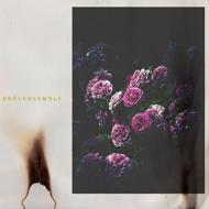 【輸入盤】Brulensemble