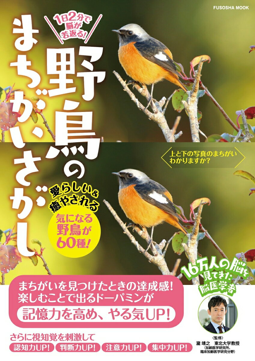 1 日2 分で脳が若返る！　野鳥のまちがいさがし