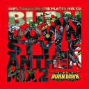 BURN DOWN STYLE~ANTH