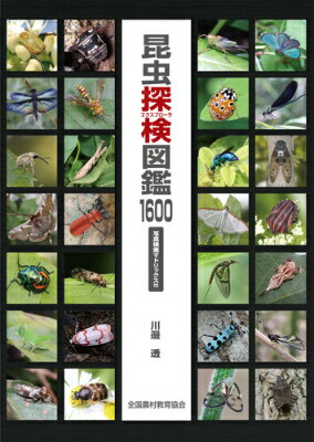 昆虫探検図鑑1600