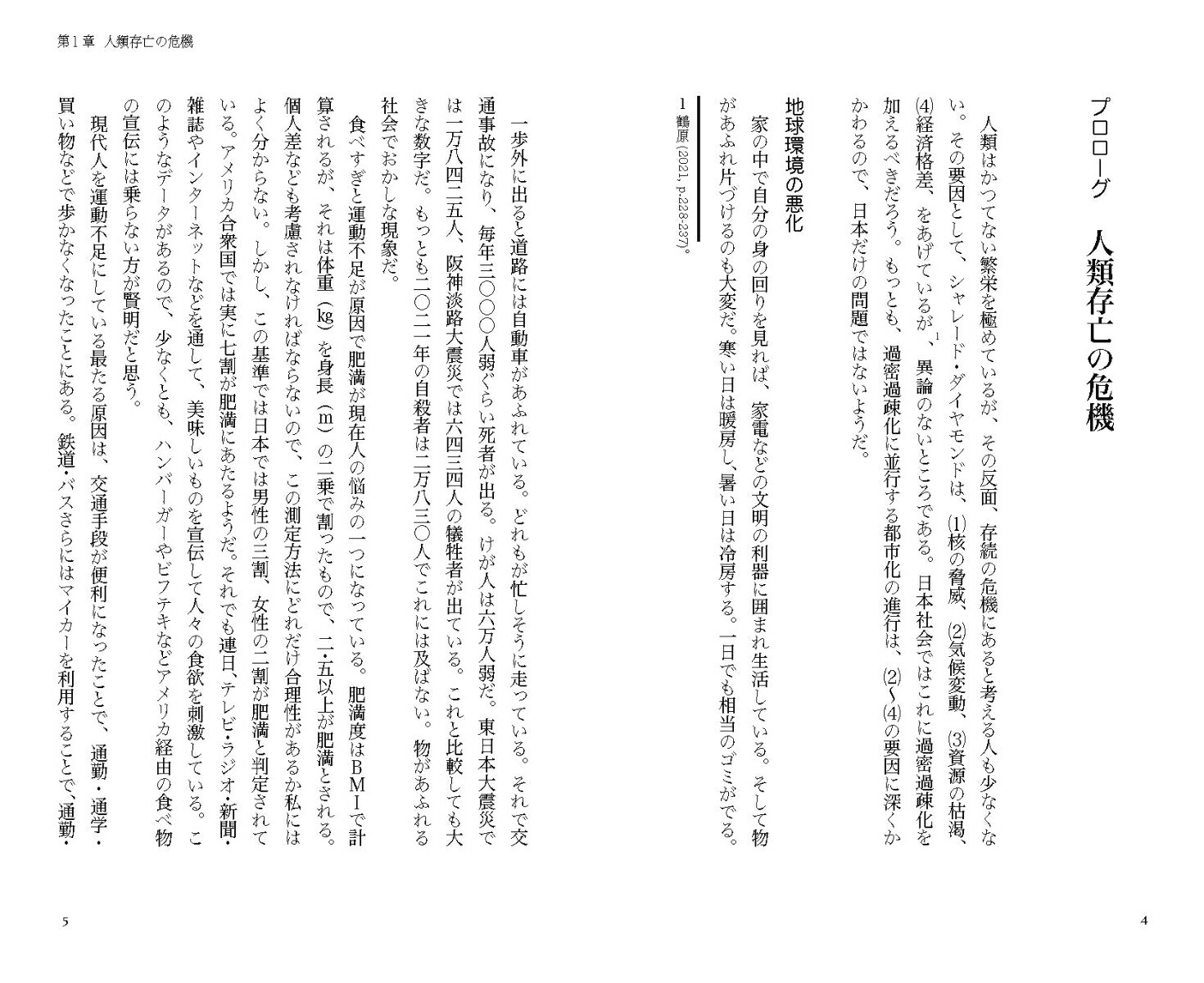 成長から成熟へ 日本的文化資本の創造 （知の新書　J03） [ 駄田井　正 ]