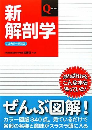 新解剖学フルカラー新装版