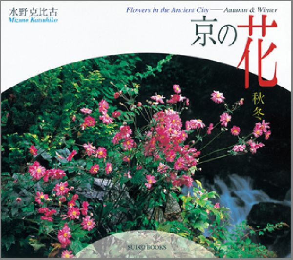 京の花（秋冬）