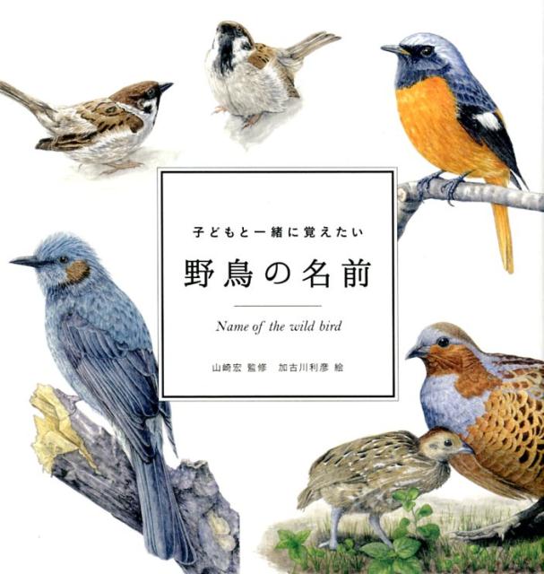 子どもと一緒に覚えたい野鳥の名前 （momobook） [ 山崎宏（自然教育） ]