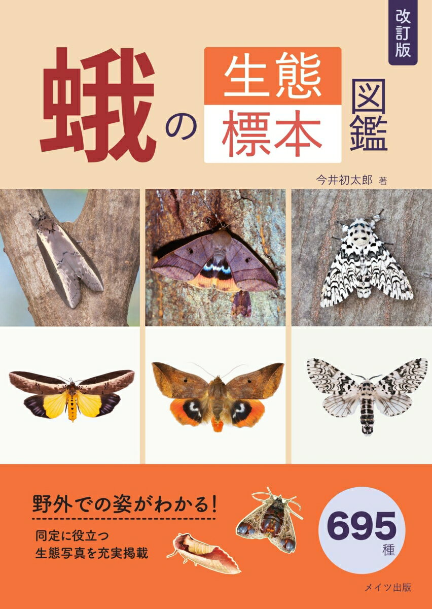 楽天市場】蛾 標本の通販