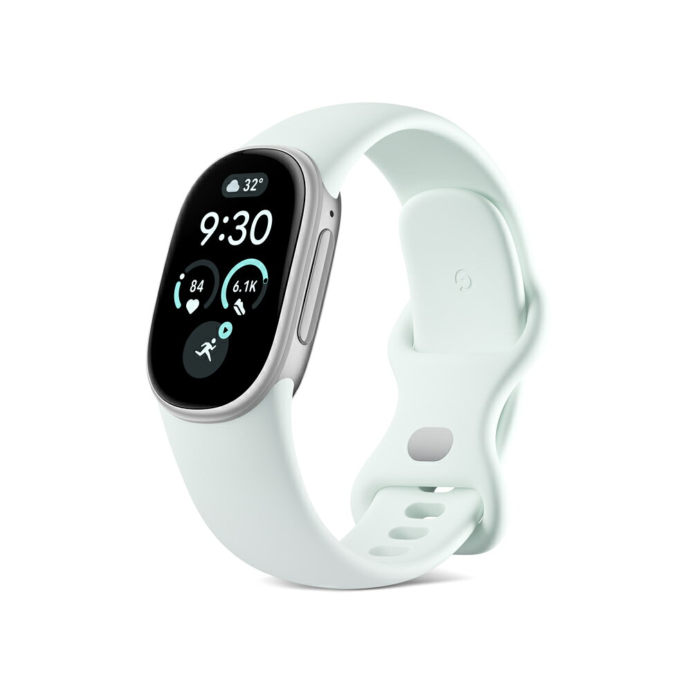 Google Fitbit Edge Polished Silver アルミケース / Fog アクティブ バンド