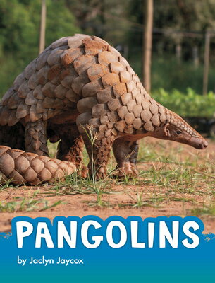 Pangolins PANGOLINS （Animals） 
