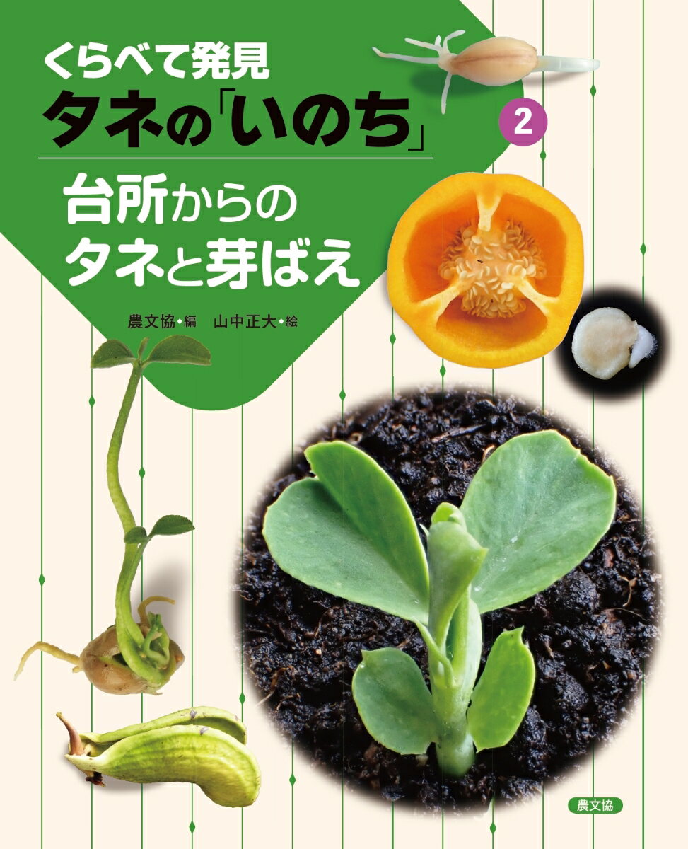 楽天楽天ブックス台所からのタネと芽ばえ （くらべて発見　タネの「いのち」　2） [ 農文協 ]