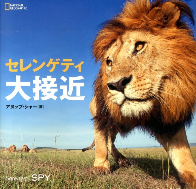 セレンゲティ大接近