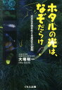 ホタルの光は、なぞだらけ 光る生き物をめぐる身近な大冒険 （くもんジュニアサイエンス） [ 大場裕一 ]