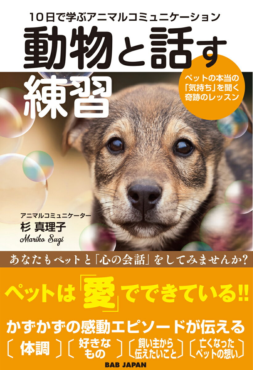 10日で学ぶアニマルコミュニケーション　動物と話す練習 ペットの本当の「気持ち」を聞く奇跡のレ...