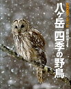 八ケ岳四季の野鳥 吉野俊幸写真集 （Birder　special） [ 吉野俊幸