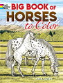 More than 130 illustrations recapture the spirited beauty of horses and ponies. Colorists and horse lovers of all ages will treasure these realistic depictions of thoroughbreds, mavericks, and other steeds. Captions.