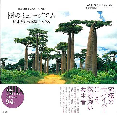 3億7000万年前に誕生し、過酷な地球環境を生き抜いてきた樹木。豊かな多様性をもつ熱帯雨林から世界一の高さや太さを誇る木、葉の役割や菌類との共生まで、多くの種と調和しながら繁栄を極めたその興味深い生態に迫る。また、シンボルとしての木の存在や人間との深い関係をあらわすエピソードも満載。