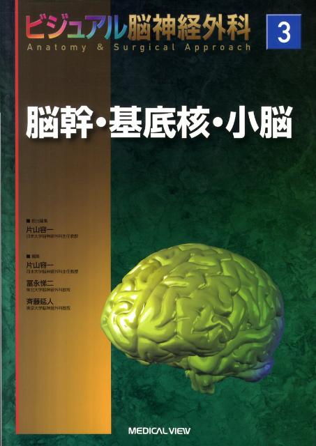 ビジュアル脳神経外科（3）