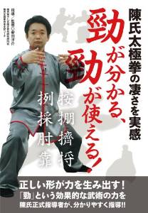 陳氏太極拳の凄さを実感 勁が分かる、勁が使える！ [ 安田洋介 ]