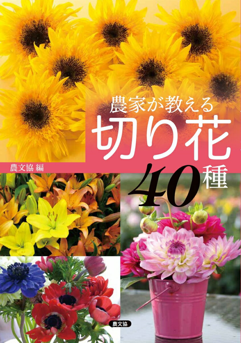 母の日・お盆にピタリ開花、一回の定植で何度も採花、わき芽を活かして長期どり、球根・種子代を節約する方法や病害虫知らずの手づくり防除剤…、花つくりのスゴ技あれこれを紹介。