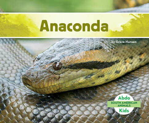 Anaconda ANACONDA （South American Animals (Ak)） [ Grace Hansen ]