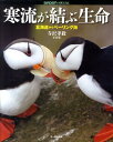 寒流が結ぶ生命 北海道からベーリング海 （Birder　special） [ 寺沢孝毅 ]