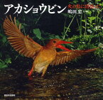 アカショウビン 火の鳥に出会った （日本の野鳥） [ 嶋田忠 ]