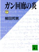 ガン回廊の炎（下）
