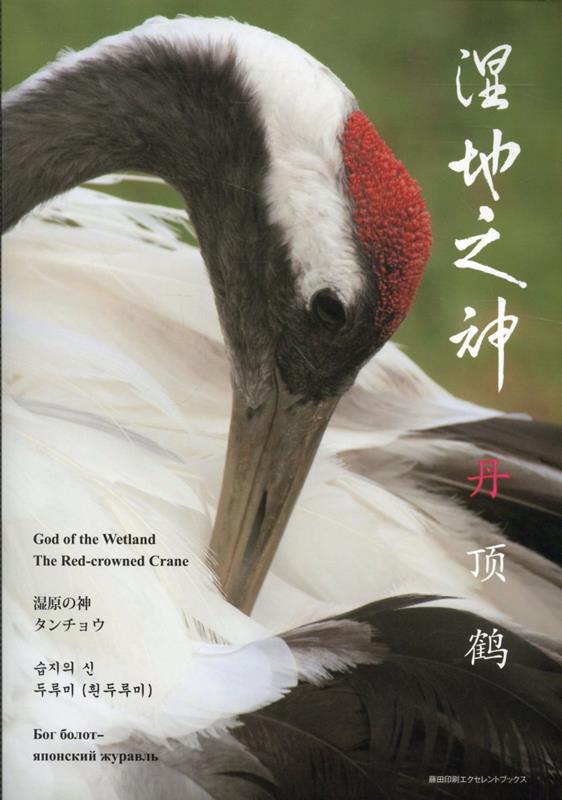 湿地之神　丹頂鶴