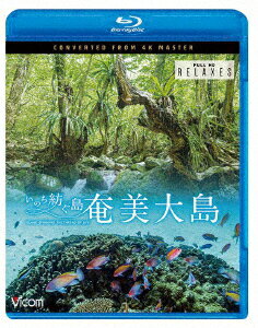 奄美大島 4K撮影作品 ～いのち紡ぐ島～【Blu-ray】 [ (趣味/教養) ]