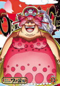 ONE PIECE ワンピース 20THシーズン ワノ国編 PIECE.13 [ 山口勝平 ]