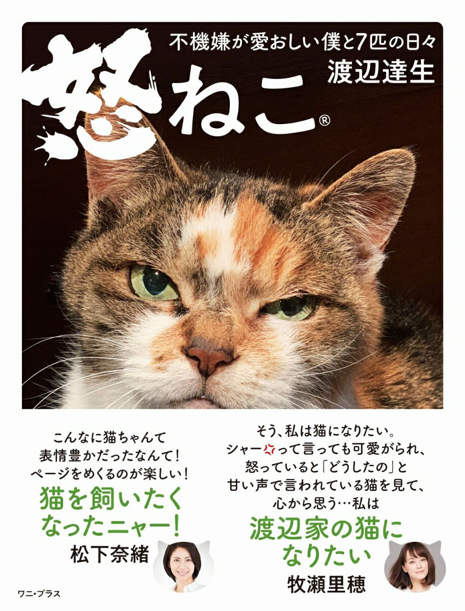 渡辺家で暮らす７匹の猫。その日常をｉＰｈｏｎｅで撮り続けた猫の写真集。