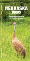 Nebraska Birds, An Introduction to Familiar Species, is a must-have, reference guide for beginners and experts alike. Whether you're on a nature hike or in your own backyard, you'll want to take along a copy of this indispensable guide. The Pocket Naturalist series is an introduction to common plants and animals and natural phenomena. Each pocket-sized, folding guide highlights up to 150 species and most feature a map highlighting prominent sanctuaries and outstanding natural attractions. Each is laminated for durability. (31/2 X 81/4 folded, opens to 22 X 81/4, color illustrations, map)