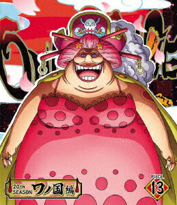 ONE PIECE ワンピース 20THシーズン ワノ国編 PIECE.13 [ 山口勝平 ]