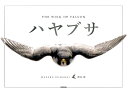 ハヤブサ THE　WING　OF　FALCON 