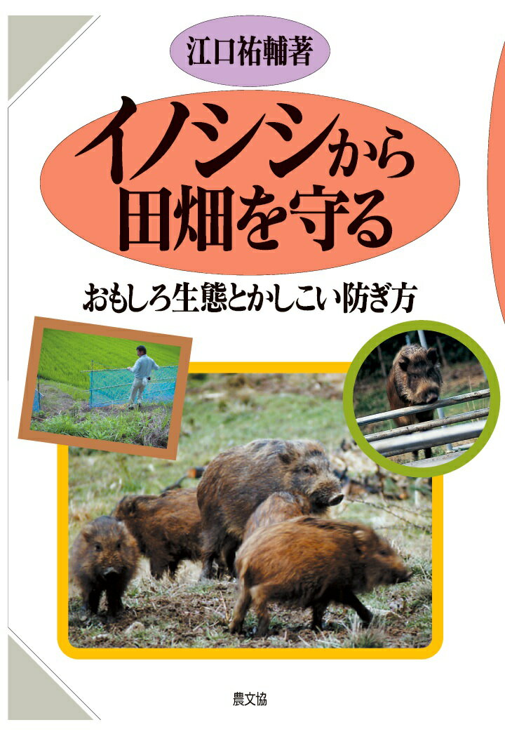 【POD】イノシシから田畑を守る おもしろ生態とかしこい防ぎ方