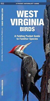 West Virginia Birds, An Introduction to Familiar Species, is a must-have, reference guide for beginners and experts alike. Whether you're on a nature hike or in your own backyard, you'll want to take along a copy of this indispensable guide. The Pocket Naturalist series is an introduction to common plants and animals and natural phenomena. Each pocket-sized, folding guide highlights up to 150 species and most feature a map highlighting prominent sanctuaries and outstanding natural attractions. Each is laminated for durability. (31/2 X 81/4 folded, opens to 22 X 81/4, color illustrations, map)