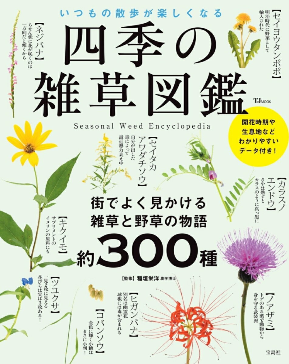 四季の雑草図鑑 いつもの散歩が楽しくなる