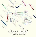Stray Dogs [ 七尾旅人 ]