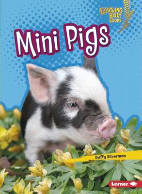 Mini Pigs MINI PIGS （Lightning Bolt Books (R) -- Little Pets） [ Buffy Silverman ]