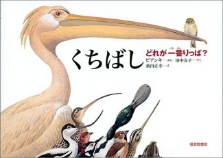 くちばし どれが一番りっぱ?の表紙