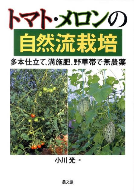 トマト・メロンの自然流栽培 多本仕立て、溝施肥、野草帯で無農薬 