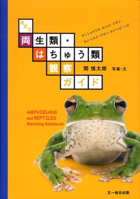 身近な両生類・はちゅう類観察ガイド [ 関慎太郎 ]