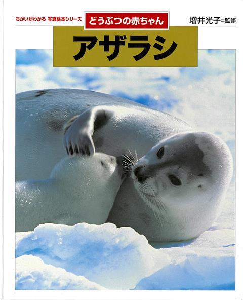 【バーゲン本】どうぶつの赤ちゃん　アザラシーちがいがわかる写真絵本シリーズ
