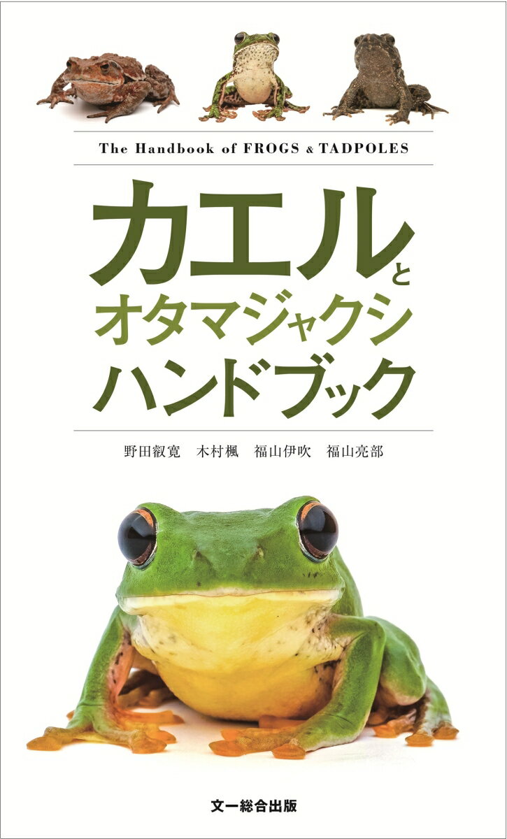 日本に生息するカエル全54 種収録。野外使用カエル図鑑の新定番！

カエル各種の生態、分布図、識別点、鳴き声収録の二次元コード、幼生の特徴まで、コンパクトなボディにカエルのすべてを詰め込んだ自然観察に最適のカエル図鑑。識別に便利な検索表も充実。
2025 年新種記載のヒガシニホンアマガエルを含む日本に生息するカエル全54 種を記載（外来種を含む）。

**************************************************************************************
◎ポイント1-　2025 年に新種記載「ヒガシニホンアマガエル」を含む全54 種掲載、最新版カエル図鑑

　近年、DNA の分析技術の発展により、カエルの新種が続々と記載された。2020 年以降、日本に生息するカエルは新たに6 種が記載された。2025 年には、田んぼや公園で見られ最も身近なカエルであるニホンアマガエルが、東西で種分化していることがわかり、関西の分布境界を境に西側の種がニホンアマガエル、東側の種がヒガシニホンアマガエルとする論文が発表された。
　本書では、これら新種の情報も掲載している。2026 年時点で、日本のカエルのライブラリーとして最新のものとなっている。ウシガエルやアフリカツメガエルなどの外来種も含め、日本に生息しているカエル54 種すべてを掲載している。

◎ポイント2-　コンパクトなボディにカエルのすべてを詰め込んだ

　野外での使用に特化したサイズの図鑑、文一総合出版のハンドブックシリーズ。本書はポケットにも収まるコンパクトなサイズでありながら、充実の内容。
白バックで美麗なカエルの成体写真はもちろん、各種の生態の情報や分布図、オタマジャクシ（幼生）の特徴、さらに各種ページの二次元コードを読み込めば、YouTube 特設ページから鳴き声を視聴可能。この一冊にカエルのすべてが詰まっている。

◎ポイント3-　地域ごとの検索表で誰でも識別できる！

　前付けのページには識別ポイントから誰でも検索できる検索表を掲載。カエルの生息地域ごと（本州・四国・九州、奄美群島、沖縄諸島、先島諸島）に成体と幼生それぞれの検索表を掲載。
識別ポイントを確認しながら誰でも簡単に識別できるようになっている。
カエルとは
カエルの生活史
カエルの形態解説
用語解説
カエルの生息環境
カエルの探し方
カエルに関する法律
カエルとオタマジャクシ検索表
本州・四国・九州のカエル検索表
3
本州・四国・九州のオタマジャクシ検索表
ヒキガエル類の詳細な識別点
アカガエル類の詳細な識別点
トノサマガエル類の詳細な識別点
本州に生息するオタマジャクシの詳細な識別
奄美群島のカエル検索表
奄美群島のオタマジャクシ検索表
沖縄諸島のカエル検索表
沖縄諸島のオタマジャクシ検索表
先島諸島のカエル検索表
先島諸島のオタマジャクシ検索表
カエル図鑑
ヒキガエル科
アマガエル科
アカガエル科
ヌマガエル科
アオガエル科
ヒメアマガエル科
ピパ科
参考文献
索引
コラム
　AI を用いたカエルの鳴き声の識別
　環境で姿を変える
　カエルの種数が増える理由