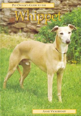 Pet Owner's Guide to the Whippet PET OWNERS GT THE WHI （Pet Owner's Guide） [ Anne Vickerstaff ]