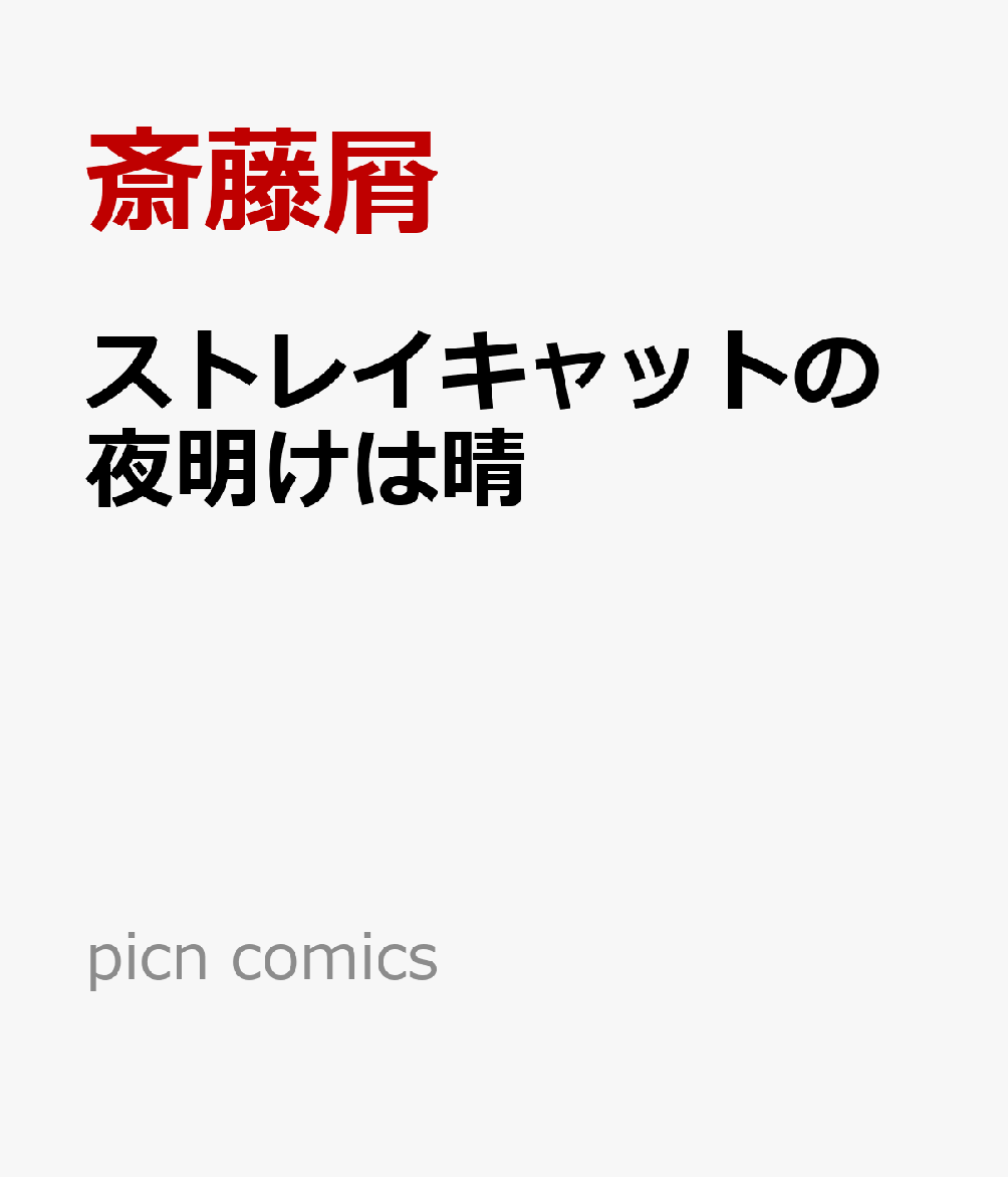 ストレイキャットの夜明けは晴 書影