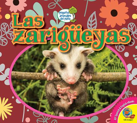 Las Zarig?eyas (Opossums) SPA-ZARIGUEYAS (OPOSSUMS) （Pequenos Animales del Patio (Little Backyard Animals)） 
