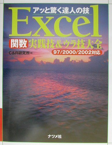 Excel関数実践技＆ウラ技大全