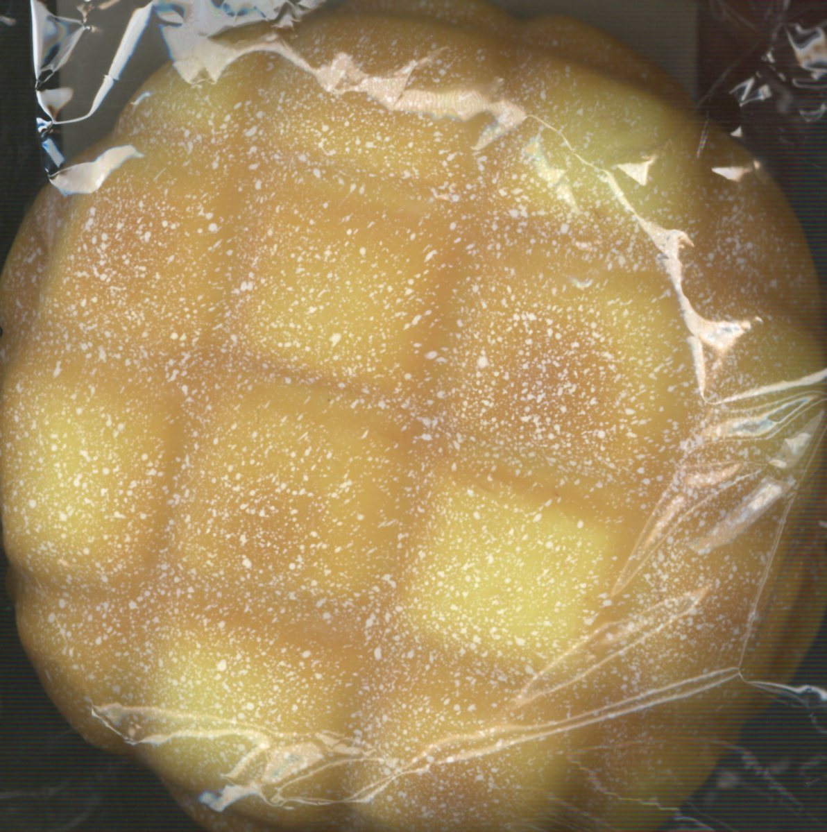 メロンパンぽよぽよスクイーズ