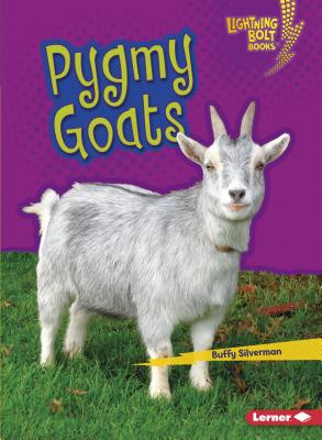 Pygmy Goats PYGMY GOATS （Lightning Bolt Books (R) -- Little Pets） [ Buffy Silverman ]