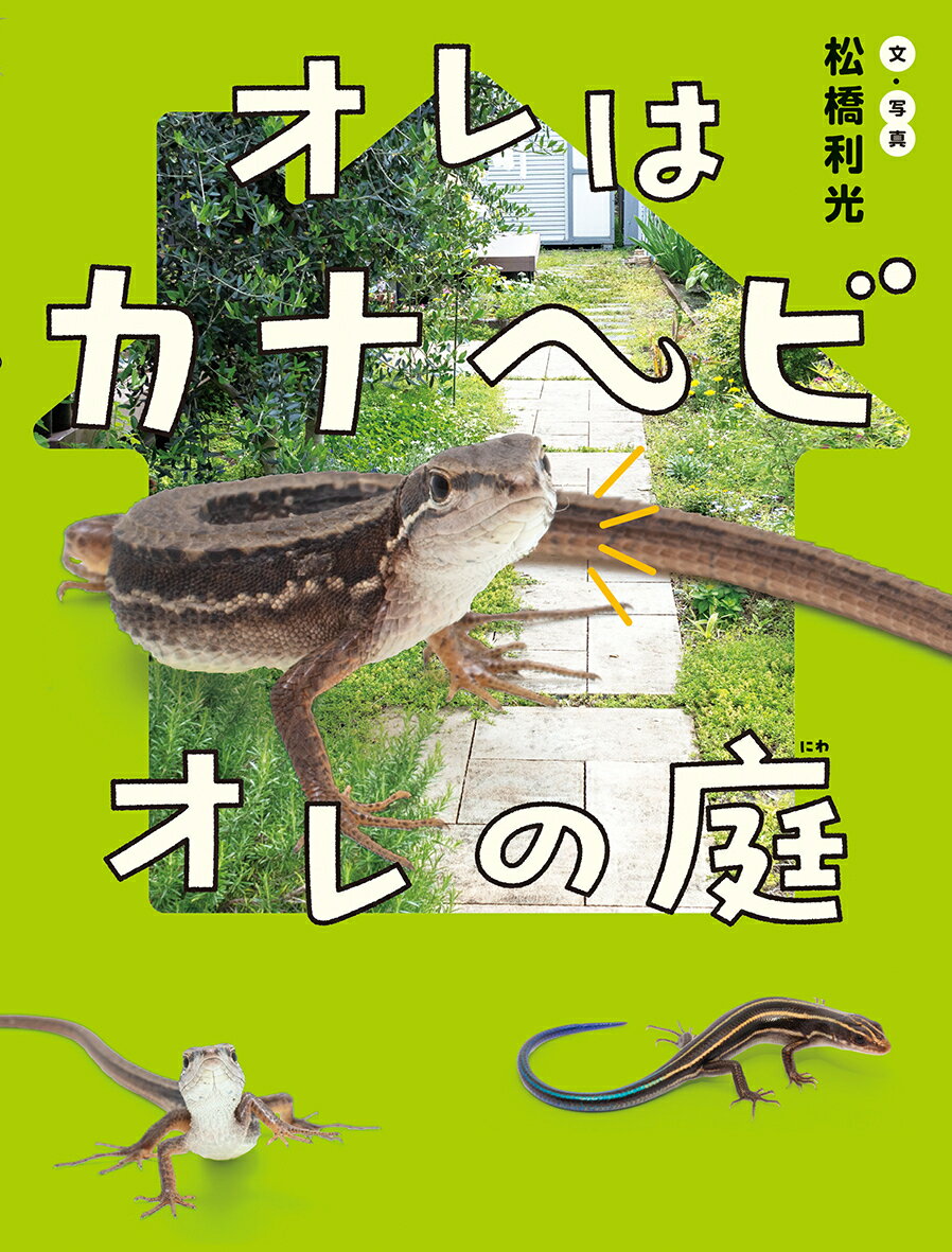 オレはカナヘビ オレの庭